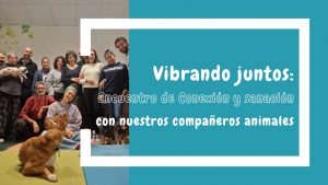 AnimalClinic - BLOG - Vibrando juntos